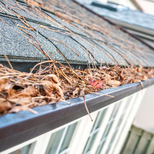 Rocky Mountain Services - Eavestrough Cleaning